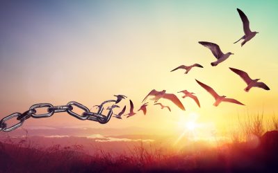 Letting Go: 6 Steps to Fearless Change