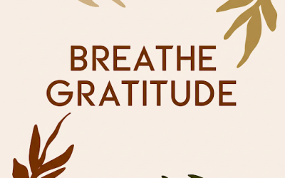 The Grateful Pause: Life Between Two Breaths